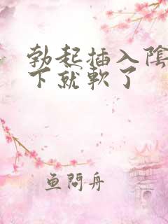 勃起插入阴道几下就软了