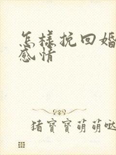 怎样挽回婚姻 感情
