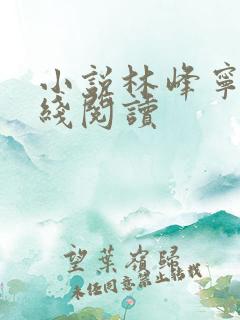 小说林峰宁欣在线阅读