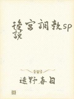 后宫调教sp小说
