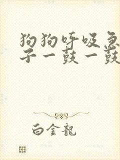 狗狗呼吸急促肚子一鼓一鼓的