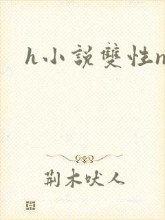 h小说双性np