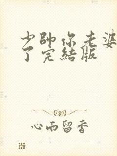 少帅你老婆又跑了完结版