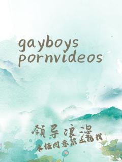 gayboyspornvideos
