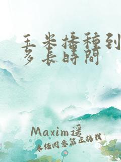 玉米播种到授粉多长时间