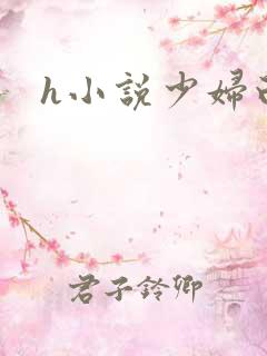 h小说少妇白洁