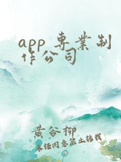 app 专业制作公司