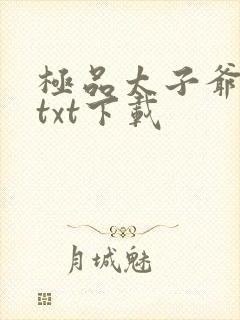 极品太子爷全集txt下载
