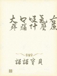 大口吸气右胸口疼痛什么原因