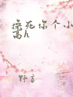 操死你个小骚货高h