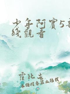 少年阿宾5部在线观看