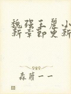 魏强王丽小说最新章节更新内容