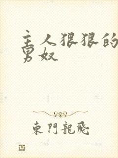 主人狠狠的惩罚男奴