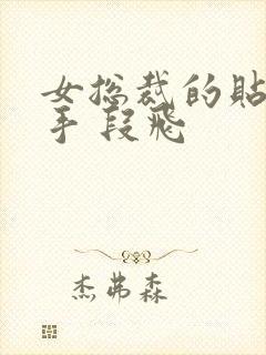 女总裁的贴身高手 段飞