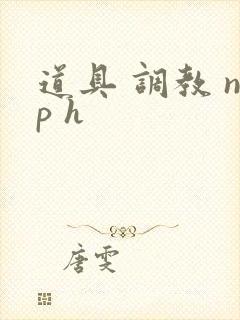道具 调教 np h