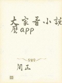 大家看小说用什么app