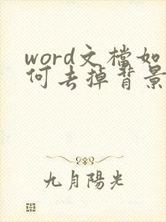 word文档如何去掉背景水印