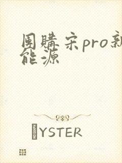 团购宋pro新能源