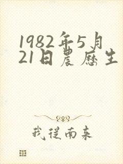 1982年5月21日农历生辰八字