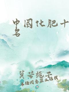 中国化肥十强排名