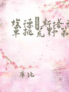 埃德·斯塔福德单挑荒野第一季