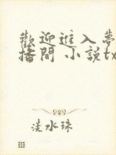 欢迎进入梦魇直播间 小说txt