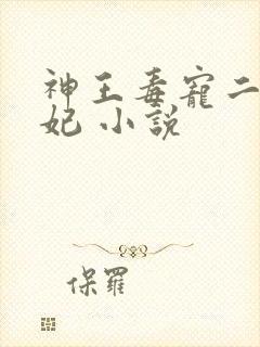 神王毒宠二嫁王妃 小说