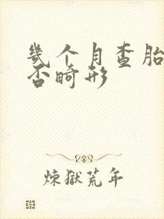 几个月查胎儿是否畸形
