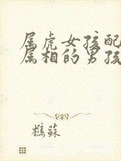 属虎女孩配什么属相的男孩好