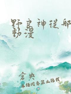 野良神从哪里看动漫