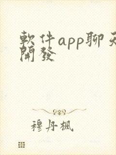软件app聊天开发