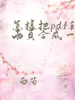 怎样把pdf的两页合成一页