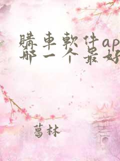 购车软件app哪一个最好