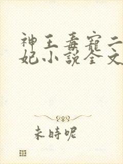 神王毒宠二嫁王妃小说全文免费