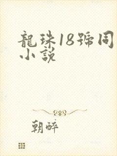 龙珠18号同人小说