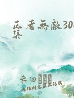 正者无敌300集