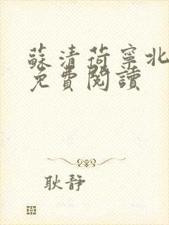 苏清荷宁北全文免费阅读