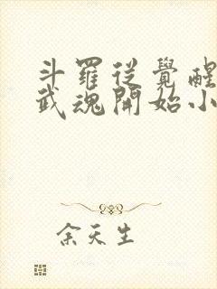 斗罗从觉醒朱雀武魂开始小说