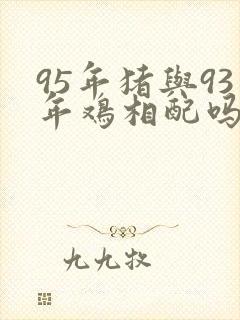 95年猪与93年鸡相配吗