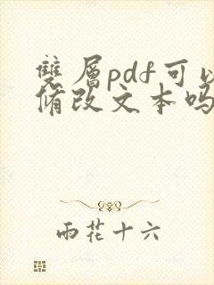 双层pdf可以修改文本吗?