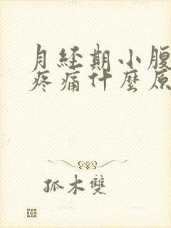 月经期小腹左侧疼痛什么原因