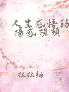 人生感悟的句子 伤感视频