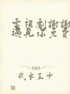 电视剧谢谢让我遇见你免费观看