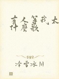 有人等我太久是什么歌