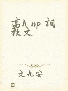 高h np 调教文