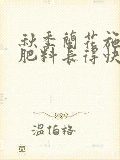 秋季兰花施什么肥料长得快