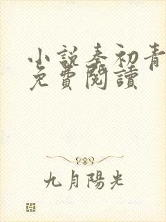 小说秦初青云宗免费阅读