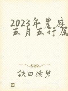 2023年农历五月五行属什么