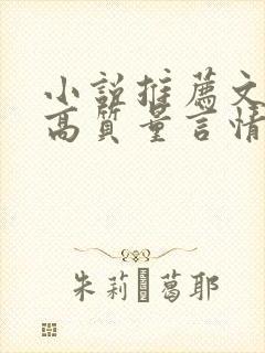 小说推荐文笔好高质量言情