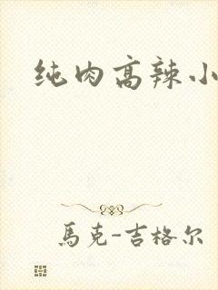 纯肉高辣小说